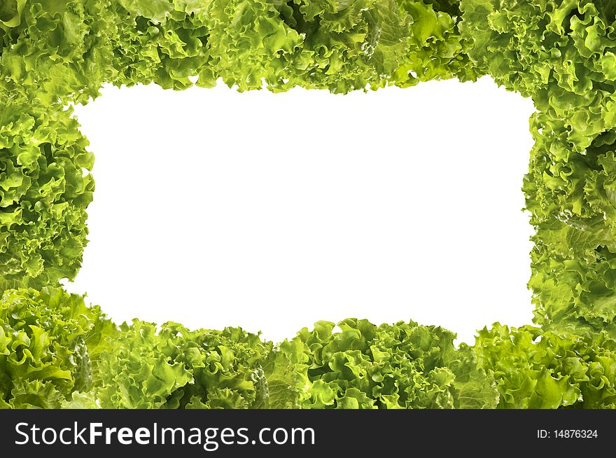 Lettuce bunches frame