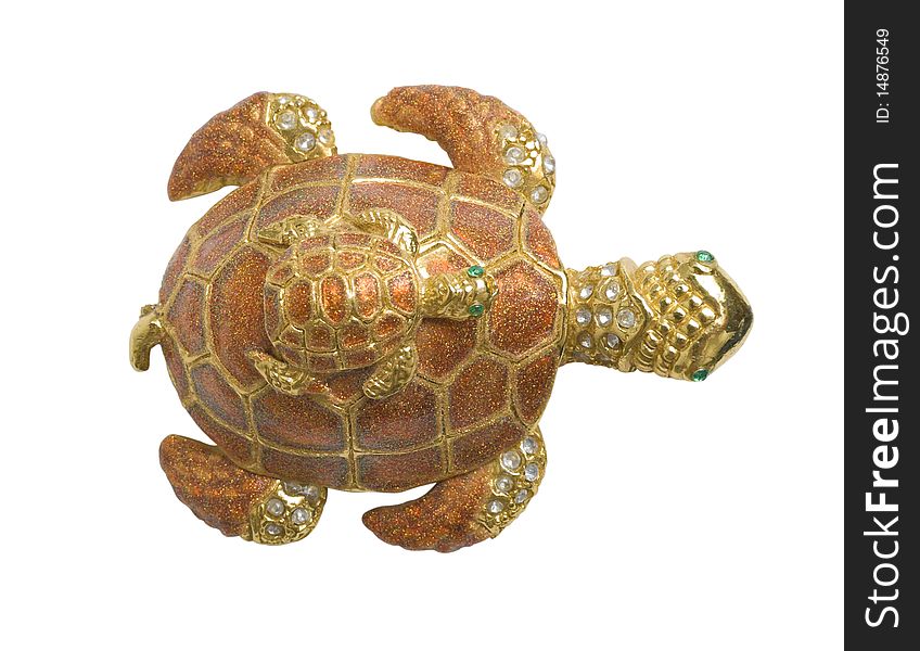 Sea Turtles Decorative | Isolated