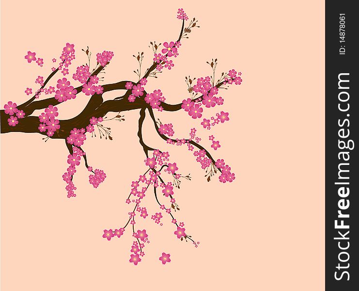 Romantic cherry tree, vector background