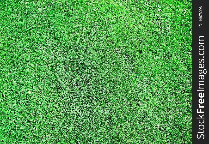 Green Field