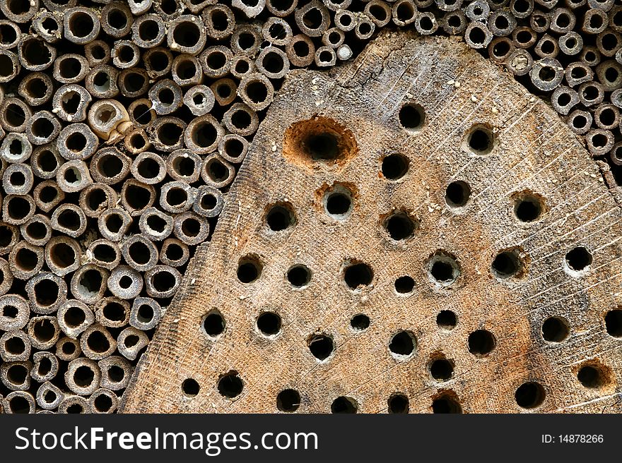 Background in the form of a transversely sawn wood and bamboo