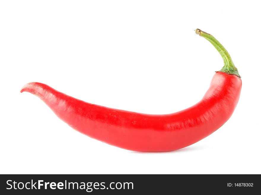 Chili pepper isolated white background