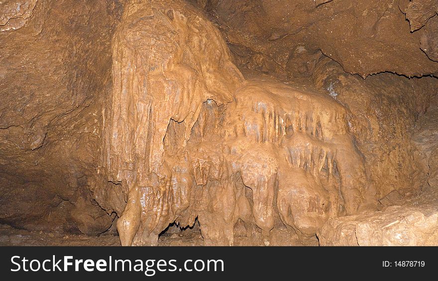 The image of a fossilized mammoth in a cave