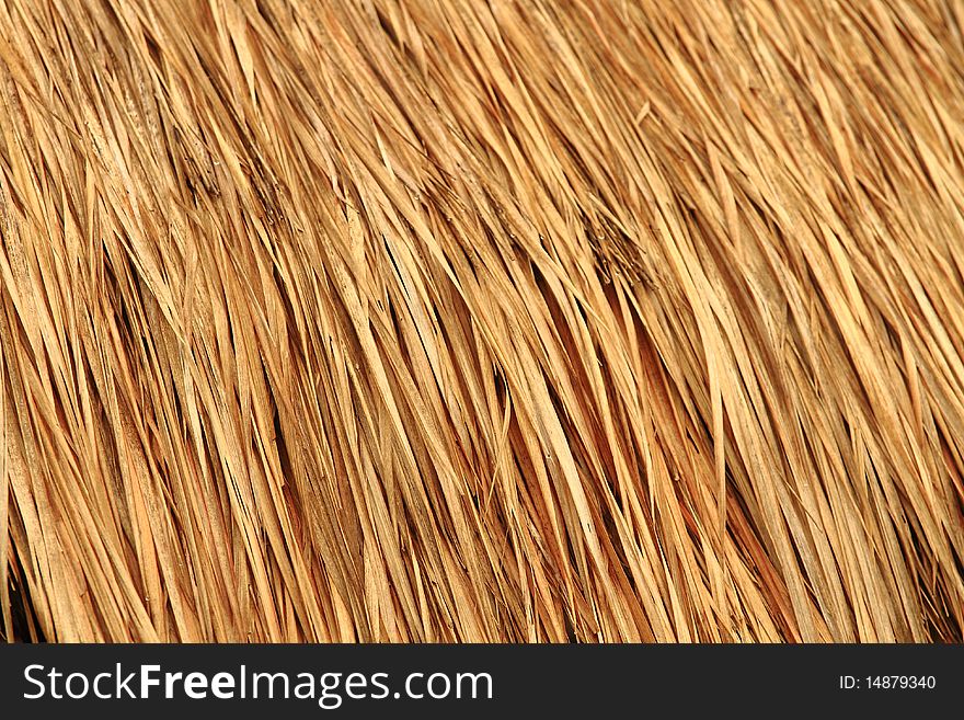 Straw roof of people in countryside