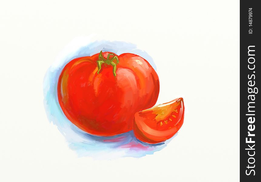 Hand drawing of fresh tomato