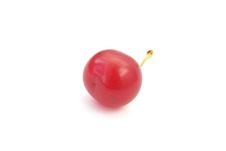 A Single Ripe Cherry Isolated On White Royalty Free Stock Images A Single Ripe Cherry Isolated On White Royalty Free Stock Images