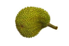 Tropical Fruit - Durian Royalty Free Stock Photo Tropical Fruit - Durian Royalty Free Stock Photo