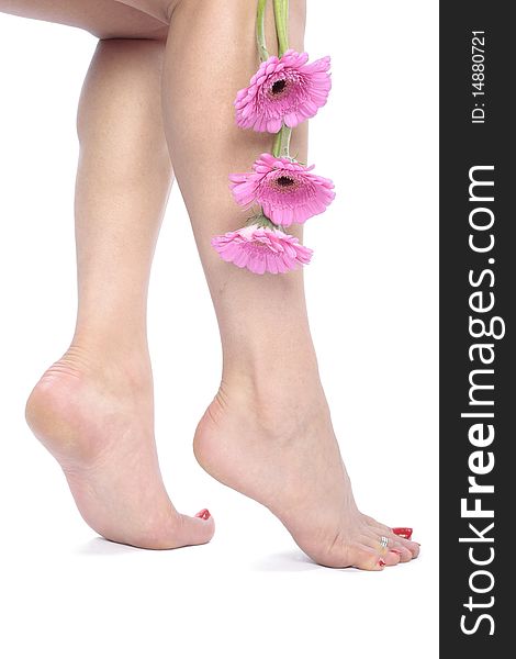 Woman Legs  And Flowers  Over White