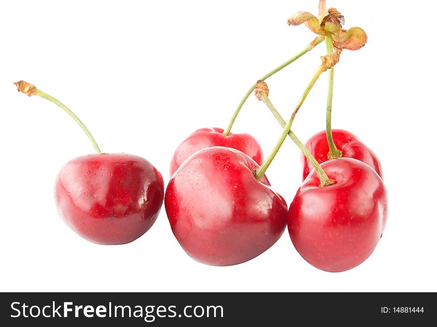 Five red cherry isolated background. Five red cherry isolated background
