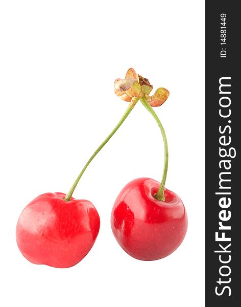 Juicy red cherry isolated background. Juicy red cherry isolated background