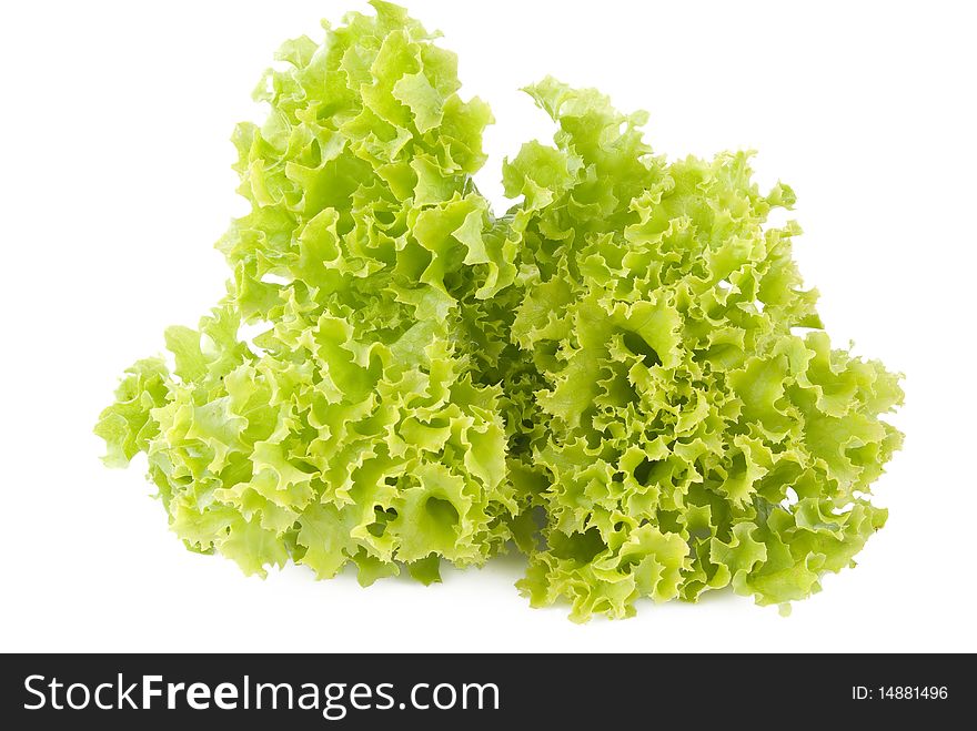 Green Salad (lettuce)