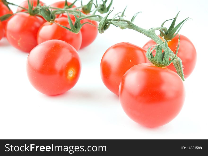Cherry branch tomatoes isolated background