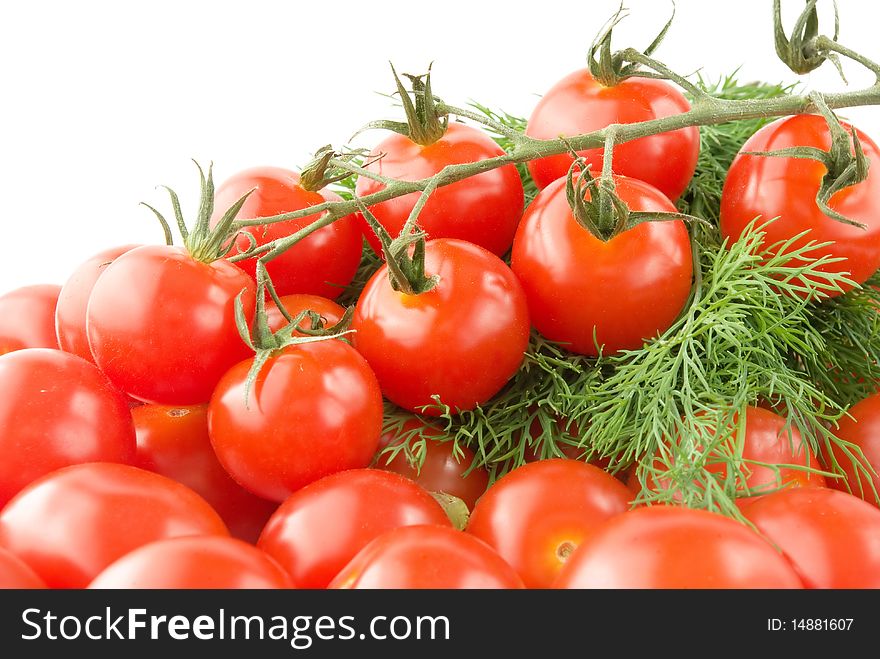 Shiny Cherry tomatoes with branch and dill