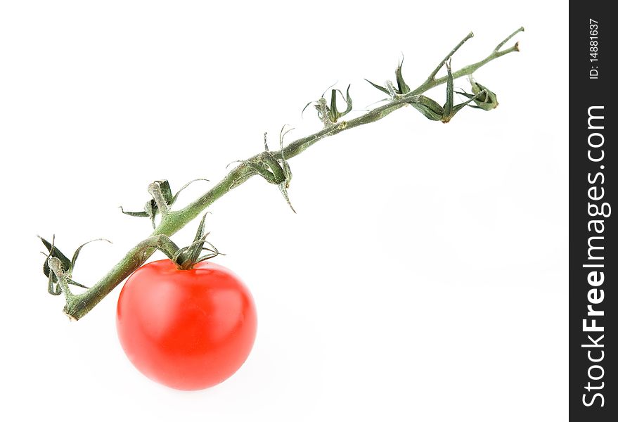 Tomato with branch on white