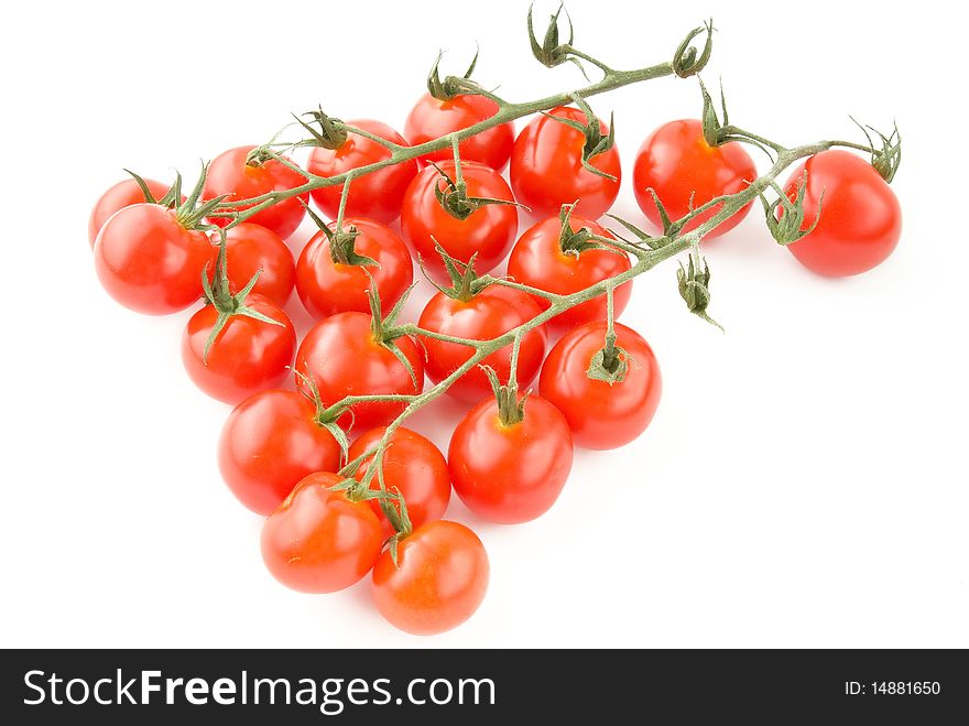 Shiny Tomatoes with stem over white