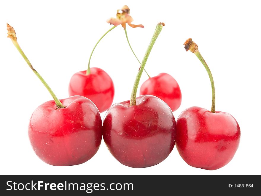 Juicy Cherry Isolated