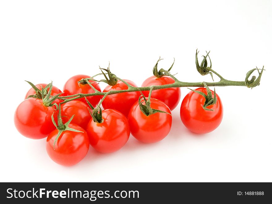 Cherry tomatoes green branch over white