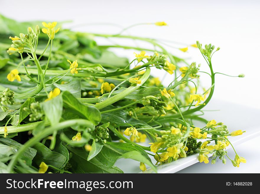 Shot of baby greens with tiny yellow flowers