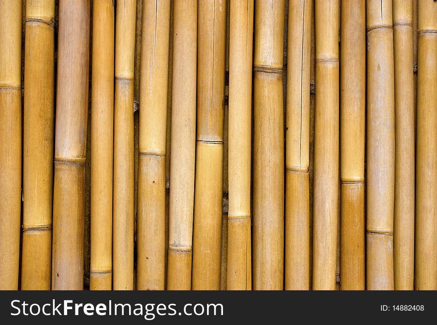 Bamboo yellow background. Looks natural