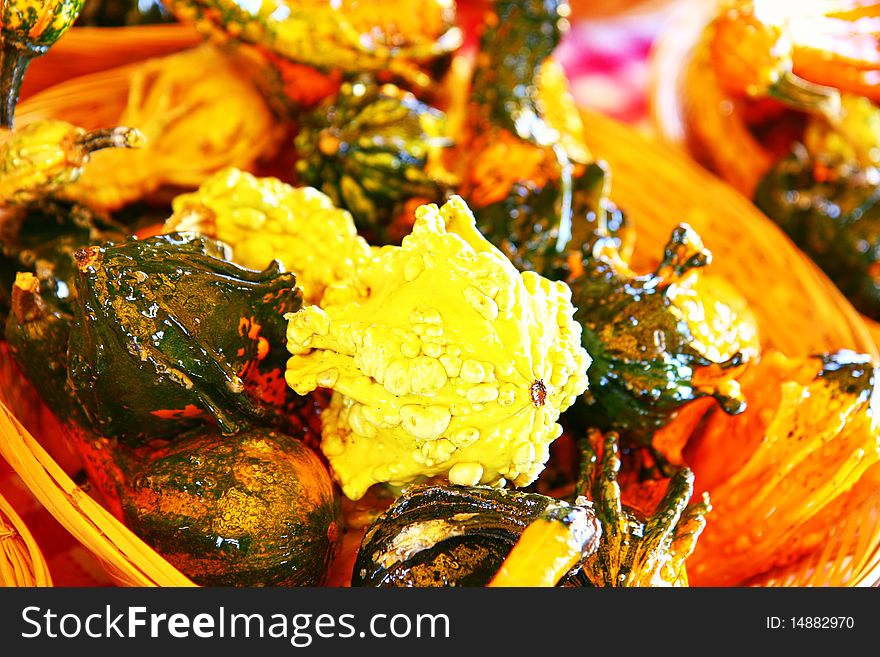 Ornamental Gourds