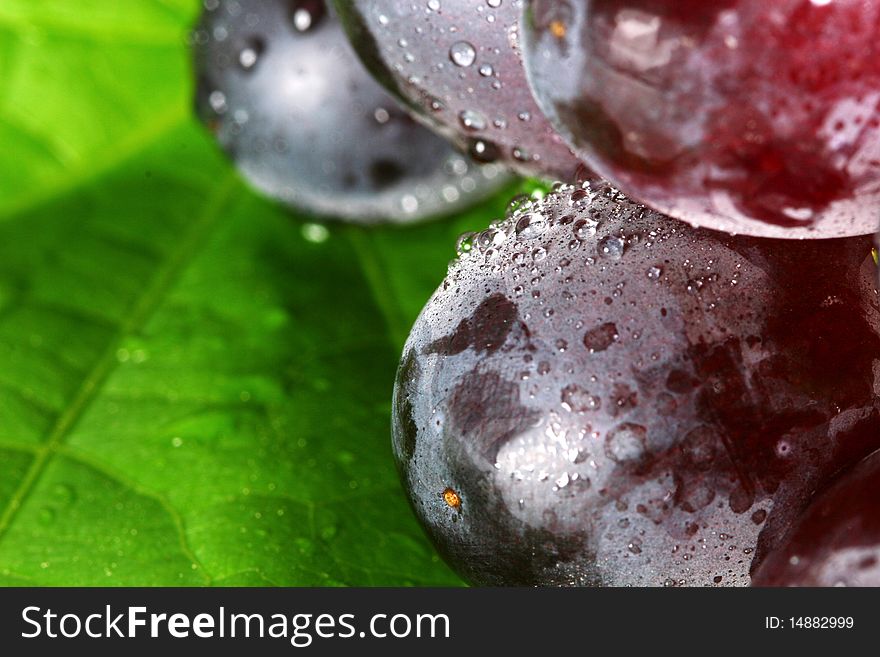 Fresh red grapes covered in dew drops with a bright green leaf