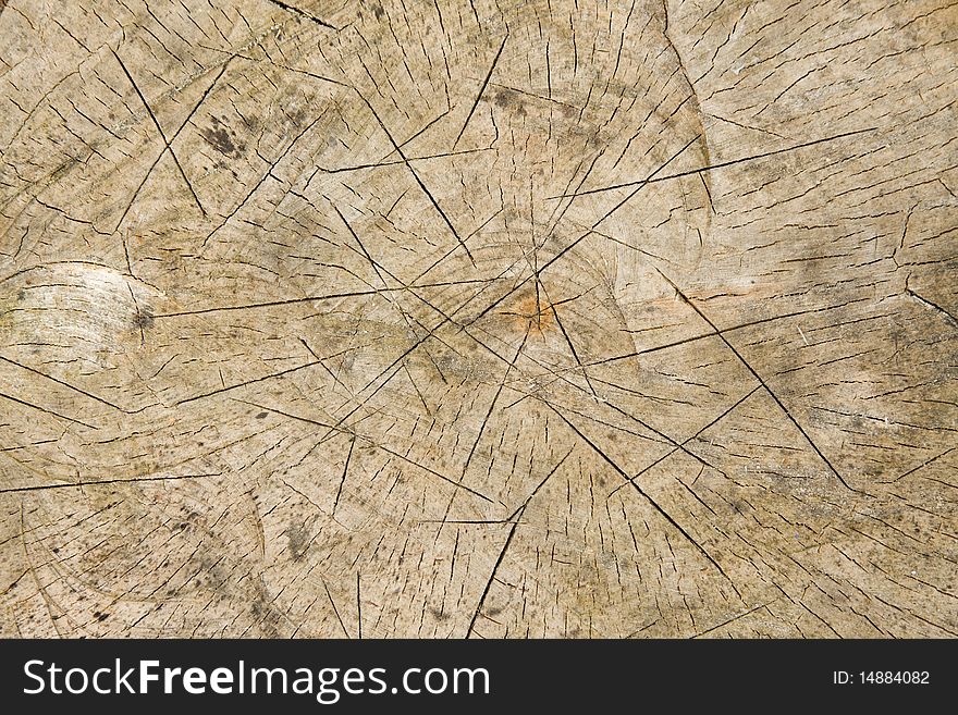 Close-up of old vintage wood with many cracks. Close-up of old vintage wood with many cracks