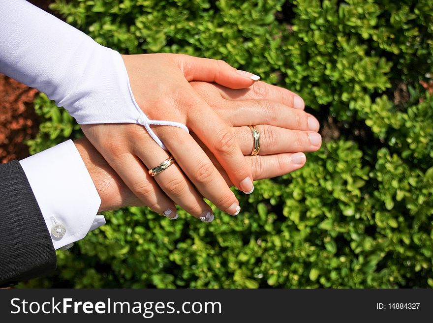 Wedding rings, hands on green background. Wedding rings, hands on green background.