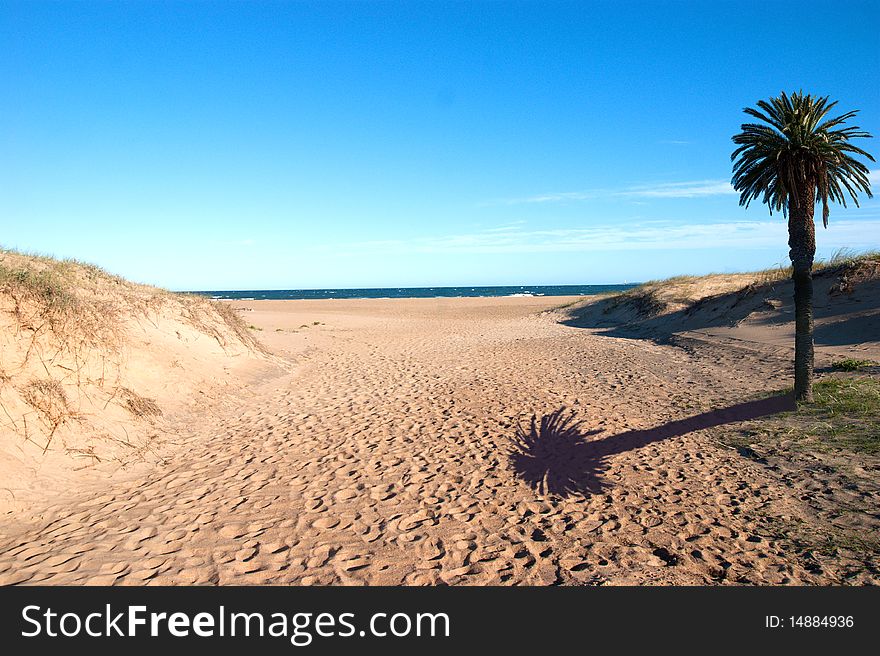 Sunny beach on coastline of atlantic ocean