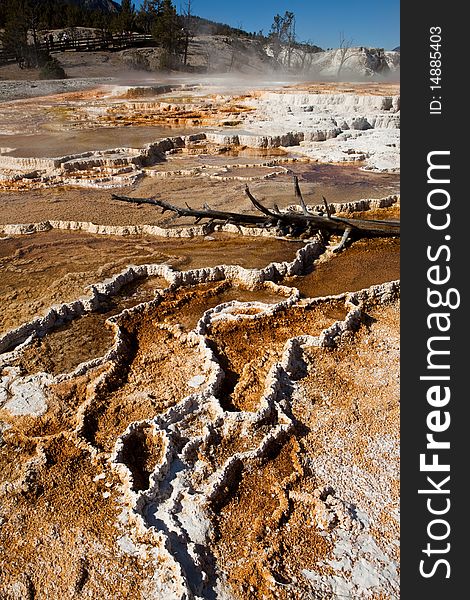 The Mammoth Hot Springs in Yellowstone National Park feature travertine terraces formed from limestone. Thermal waters rise through the limestone, carrying high amounts of dissolved carbonate. At the surface, carbon dioxide is released and calcium carbonate is deposited as travertine, the chalky white rock of the terraces. Due to the rapid rate of deposition, these features constantly and quickly. The Mammoth Hot Springs in Yellowstone National Park feature travertine terraces formed from limestone. Thermal waters rise through the limestone, carrying high amounts of dissolved carbonate. At the surface, carbon dioxide is released and calcium carbonate is deposited as travertine, the chalky white rock of the terraces. Due to the rapid rate of deposition, these features constantly and quickly