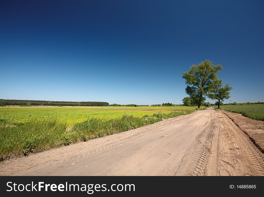 Blue sky and green grass in the poland. Blue sky and green grass in the poland