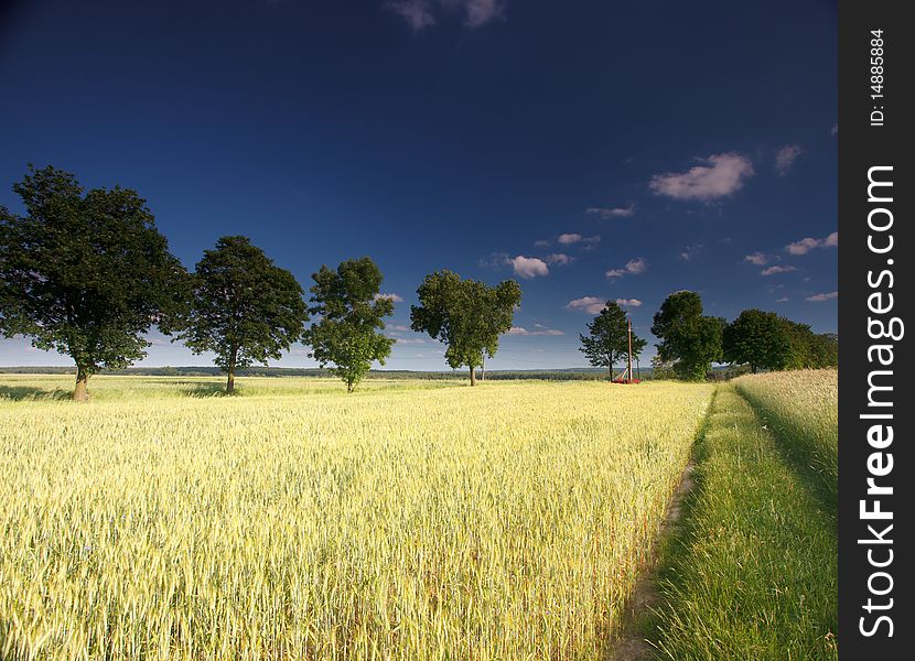 Clouds And Grass