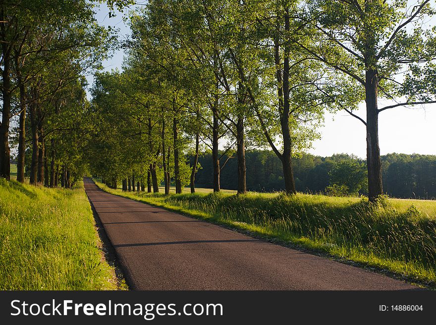 Blue sky and green grass in the poland. Blue sky and green grass in the poland