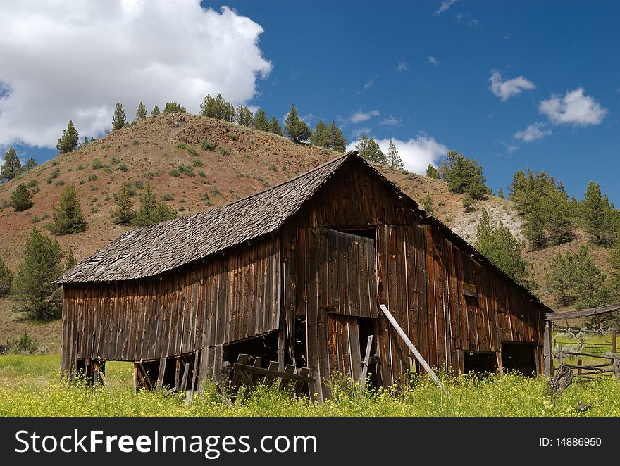 A barn in a field of wildflowers in the desert of eastern Oregon. A barn in a field of wildflowers in the desert of eastern Oregon