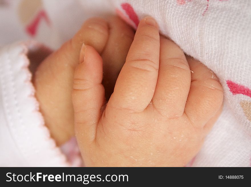 This close-up of a three week old infant, has her wrinkled hands clasped together. This close-up of a three week old infant, has her wrinkled hands clasped together.