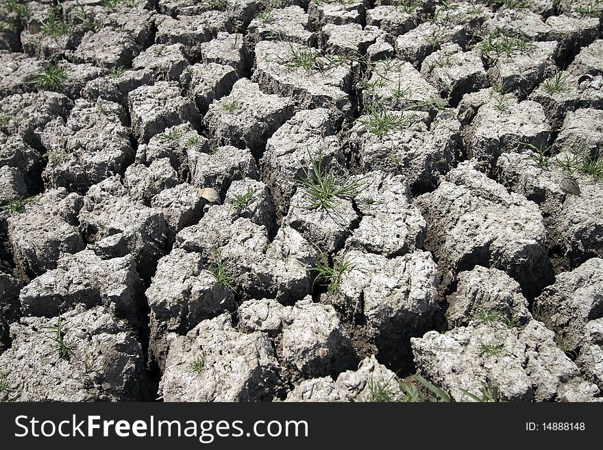 Cracked earth resulting from drought season. Cracked earth resulting from drought season.