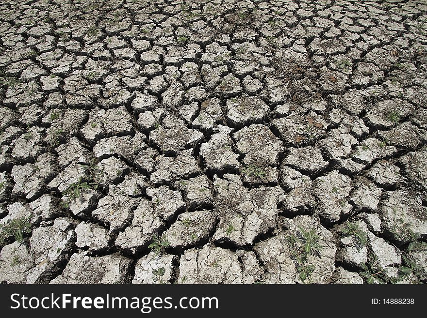 Cracked earth resulting from drought season. Cracked earth resulting from drought season.