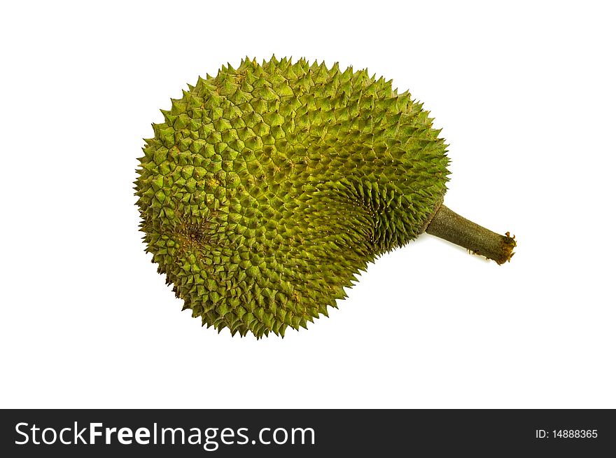 This is the most popular fruit in southeast asia called Durian. This is the most popular fruit in southeast asia called Durian