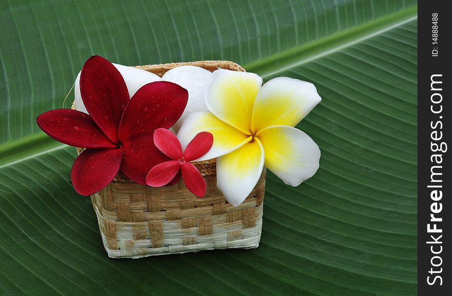 Plumeria flowers and small red flower with white stone in handmade basket. Plumeria flowers and small red flower with white stone in handmade basket