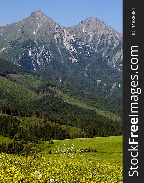 Tatras pasture with a meadow and mountains. Tatras pasture with a meadow and mountains