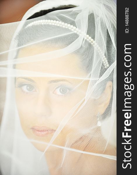 Studio portrait of beautiful stylish bride. Studio portrait of beautiful stylish bride