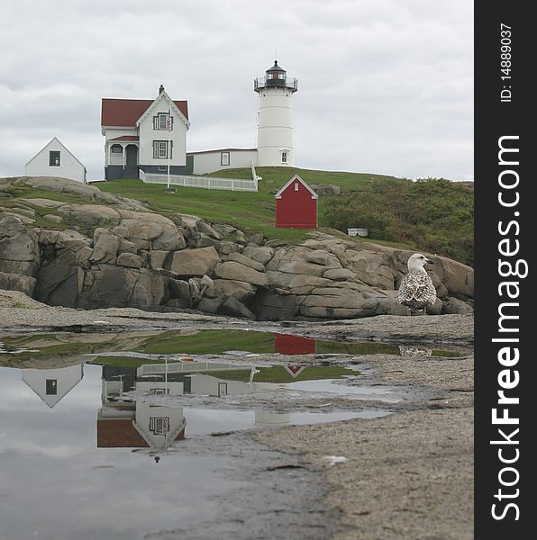Cape Neddick Lighthouse reflection