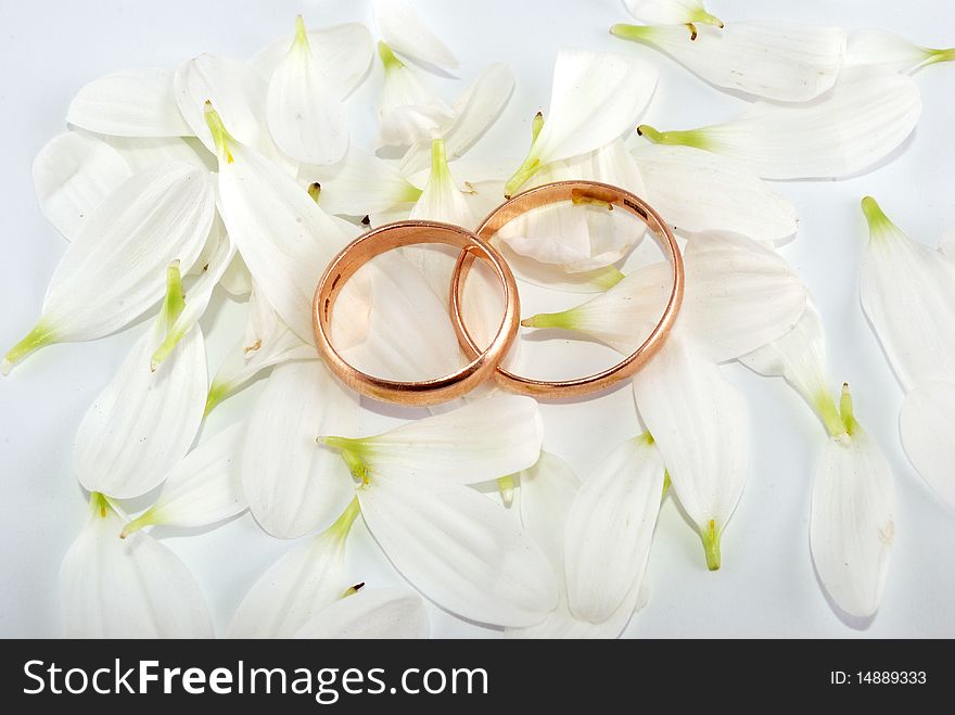 Wedding rings and flowers composition. White petals.