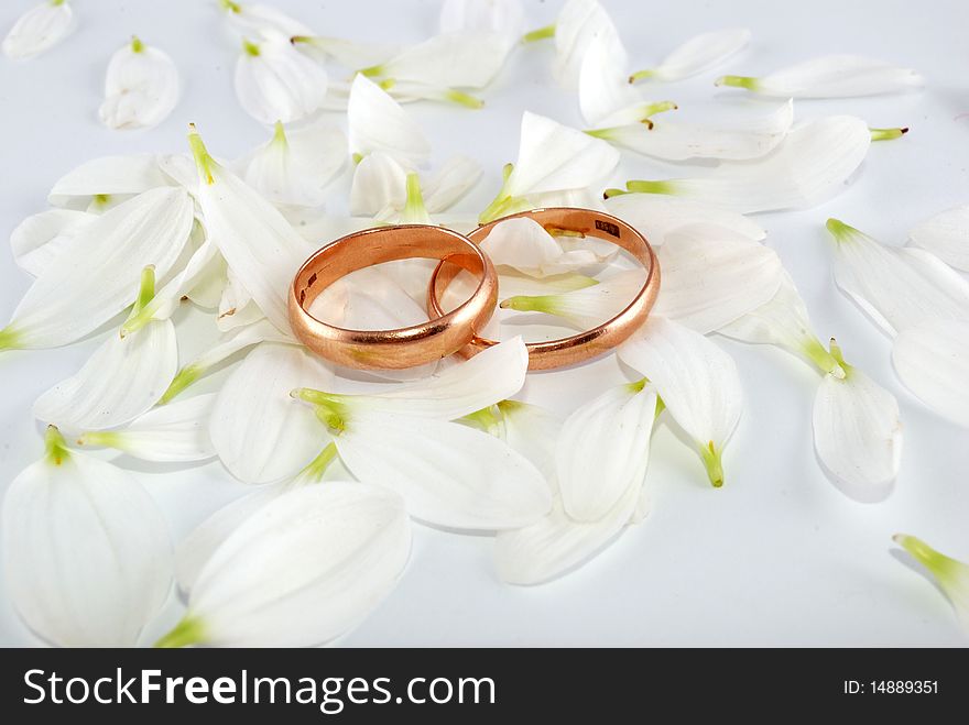 Wedding rings and flowers composition. White petals.