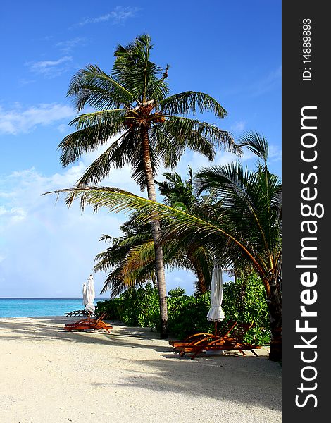 A beautiful scene of the Maldives beach