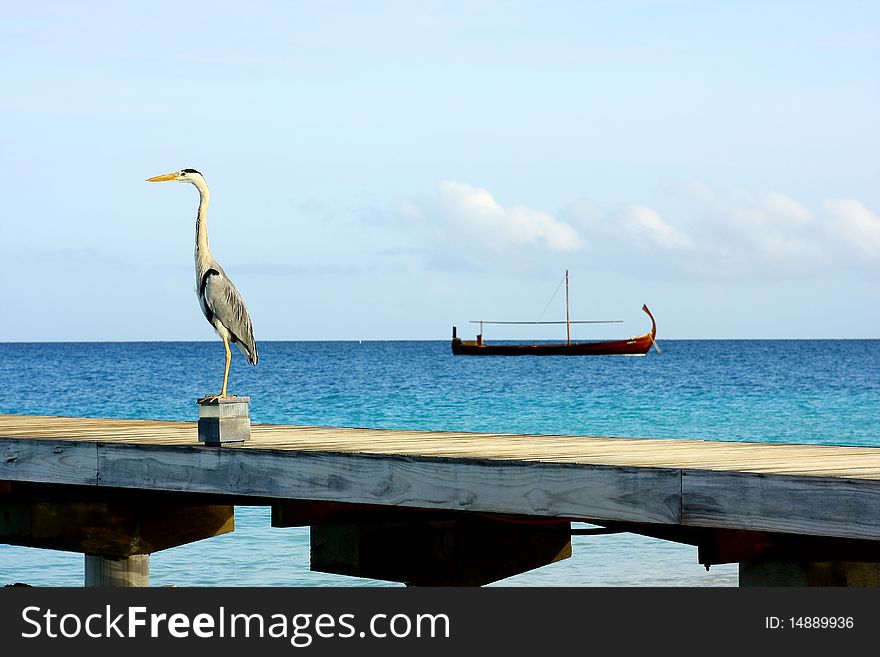 A grey heron stands still with a boat in the sea. A grey heron stands still with a boat in the sea.