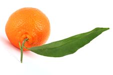 Tangerine Royalty Free Stock Image Tangerine Royalty Free Stock Image