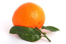 Tangerine Royalty Free Stock Photos Tangerine Royalty Free Stock Photos