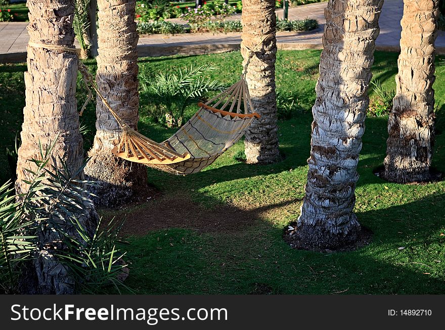 Braided hammock in the shade of palm trees. Braided hammock in the shade of palm trees.