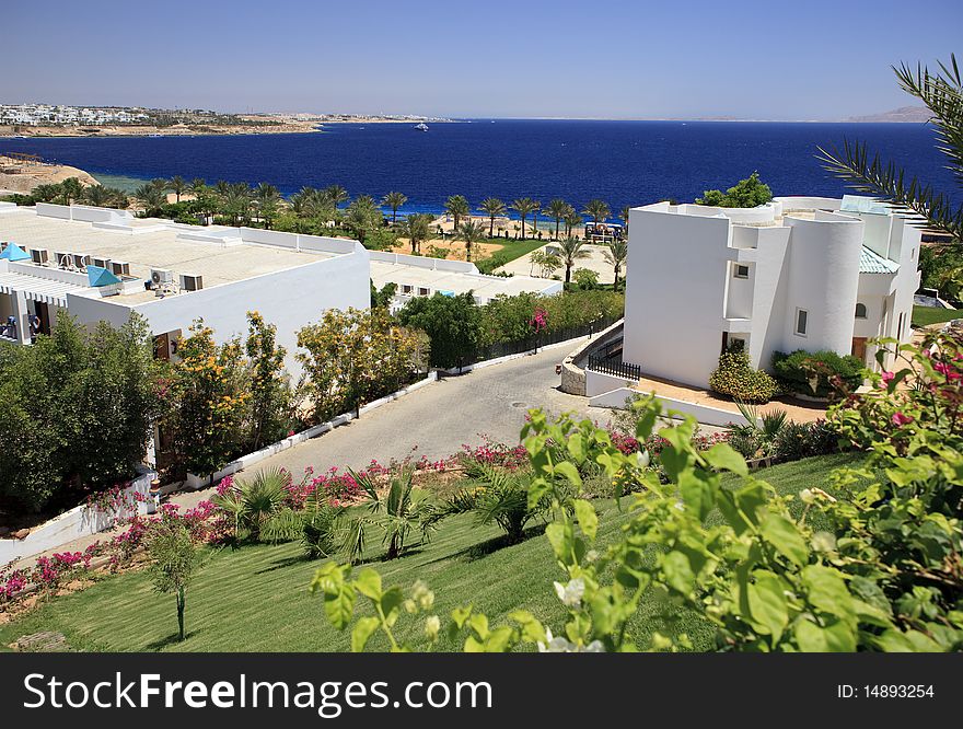 View From The Hotel On The Red Sea.