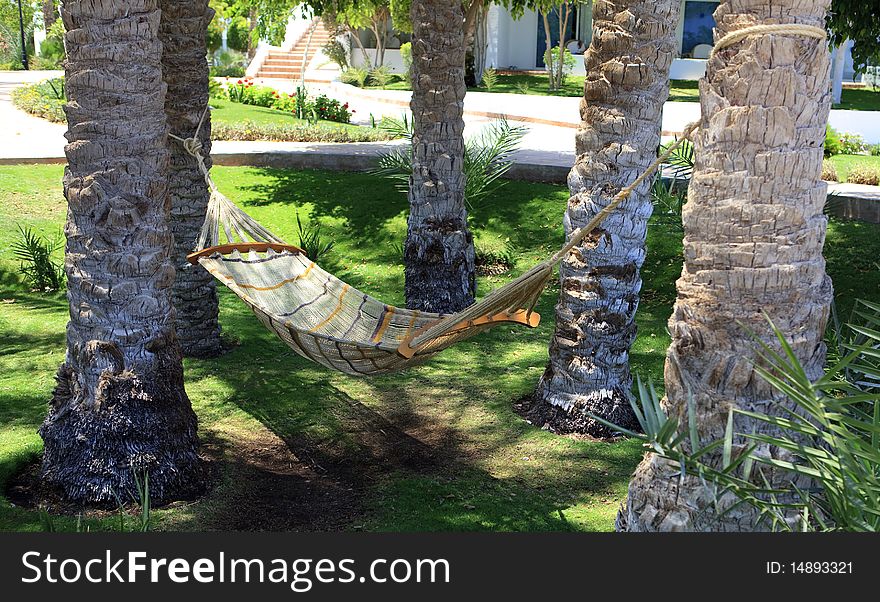 Hammock Under Palm Trees.